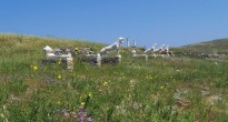 Island of Delos, Cyclades, Greece