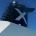 Celebrity Solstice