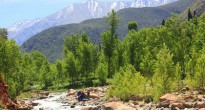 Ourika Valley, Morocco