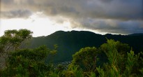 hawaiilost