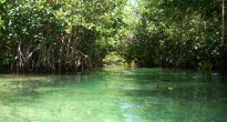 cenotes1 cenotes1