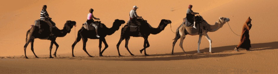travel_big