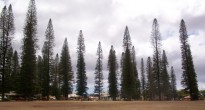 Downtown Lana'i