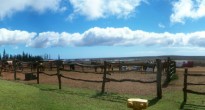 Koele Stables