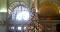 Union Station Christmas Tree Washington DC