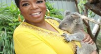 oprah koala