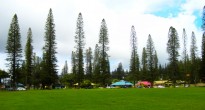 Downtown Lanai City