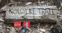 Koloiki Trail, Lanai