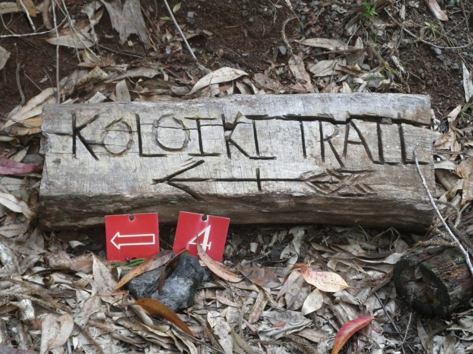 Koloiki Trail, Lanai