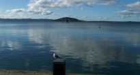 Rotorua New Zealand