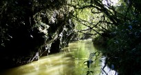 Waitomo river
