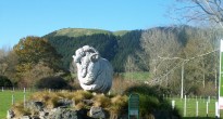 agrodome sheep farm tour