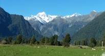 Sheep mountain