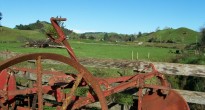 Waitomo Farm Agritourism farm