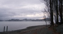 Wanaka Fog