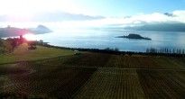 Rippon Winery, New Zealand