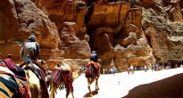 Petra Camel Caravan