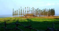 Koele stables Four Seasons Lanai