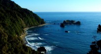 New Zealand