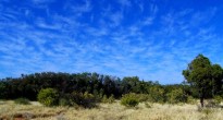 Australian Outback