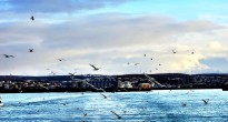 Iceland