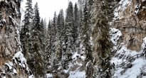 Discover Banff Tour Ice Walk