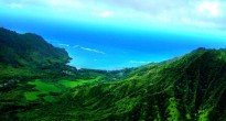 Lush Forests on Oahu, Hawaii