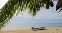 Fiji Beach by Angie Orth
