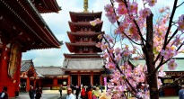 Sensoji Temple, Japan