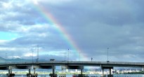 Honolulu Rainbow