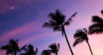 Maui
