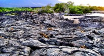 Lava fields Galapagos