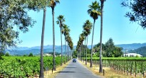 Round Pond Winery