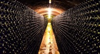 Cava cellar Spain