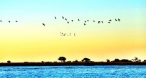 Sunset on the Zambezi Queen
