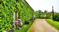 french wine gaillac