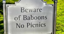 Baboon sign South Africa