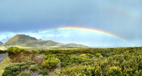 Cape of Good Hope, South Africa