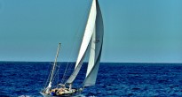 Sailboat Sydney Harbour