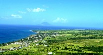 St Kitts Brimstone