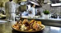 Spain mushroom
