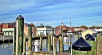 ego alley Annapolis