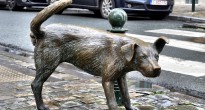 Zinneke Pis Brussels Belgium