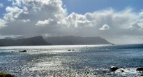 Boulders Beach Cape Town South Africa