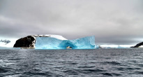 Antarctica