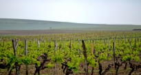Cognac, France