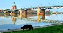 Toulouse, France
