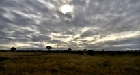 Kruger National Park, South Africa
