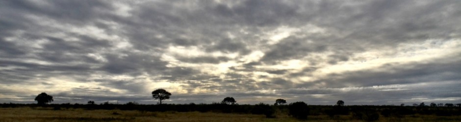 Kruger National Park, South Africa