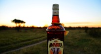 Amarula South Africa